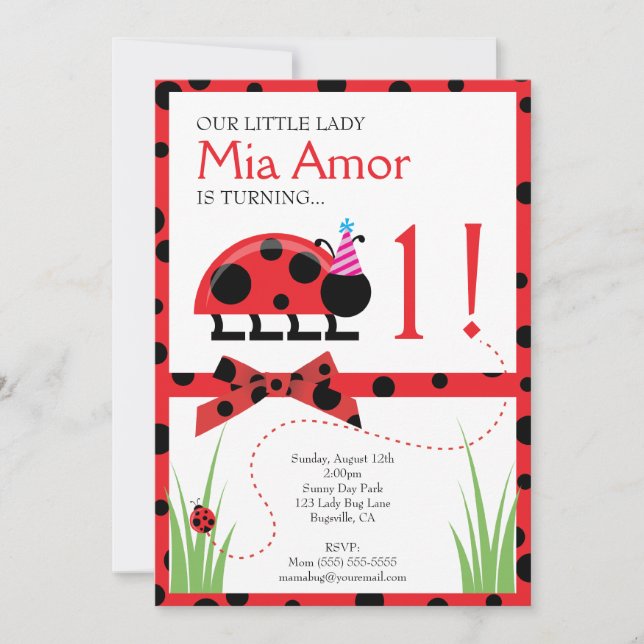 Little Lady Bug Birthday Invitation (Front)