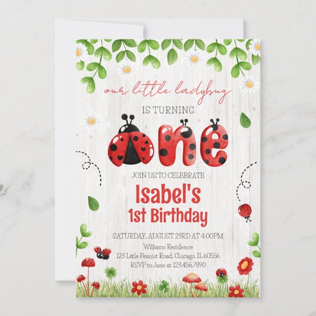  Little Ladybug Birthday Invitation (Front)
