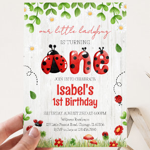 Little Ladybug Birthday Invitation
