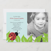 Little Ladybug Birthday Party Photo Invitation
