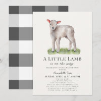 Little Lamb Baby Shower