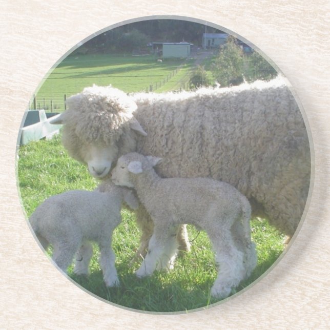 LITTLE LAMB COASTER (Front)
