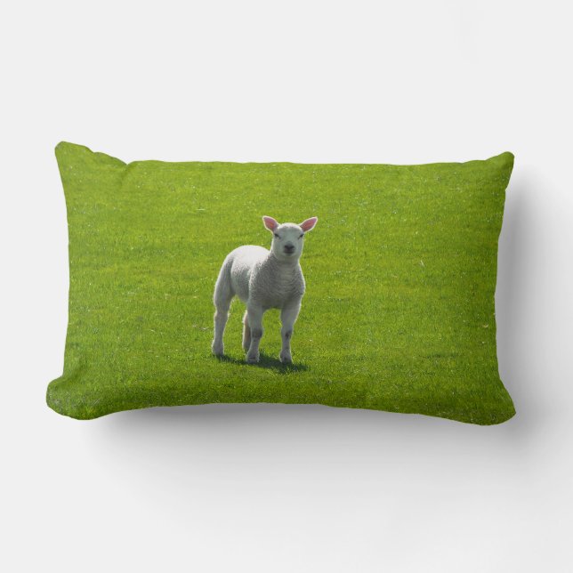 Little Lamb Lumbar Pillow (Front)