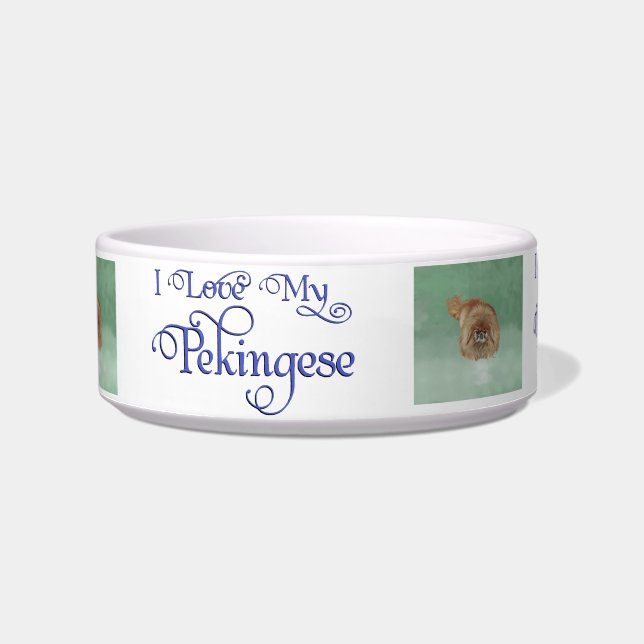 Little Lion Dog Bowl (Front)