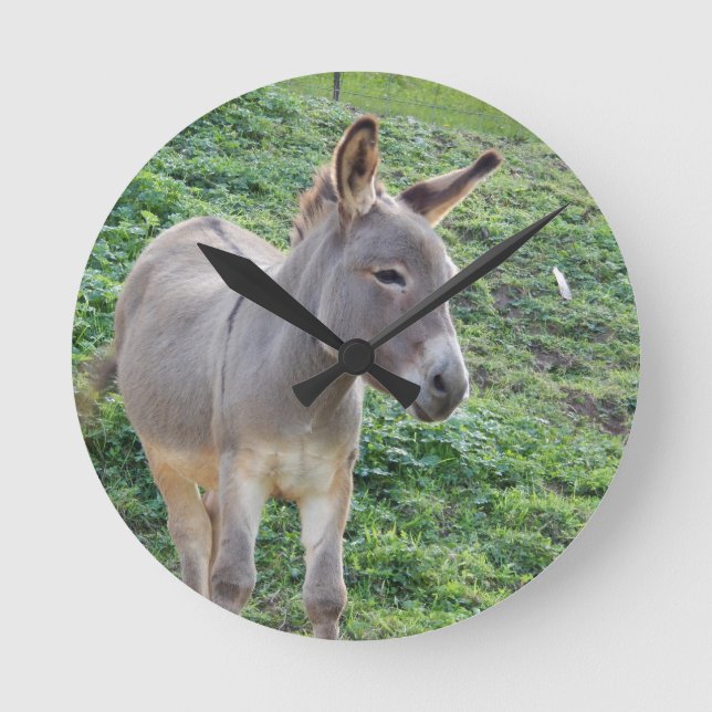 Little Lonely Donkey Clock (Front)