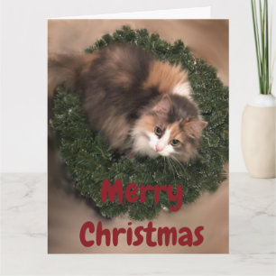Little Miss Hatching Decorations Card