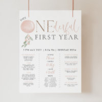 Little Miss Onederful Girls 1st Birthday Milestone