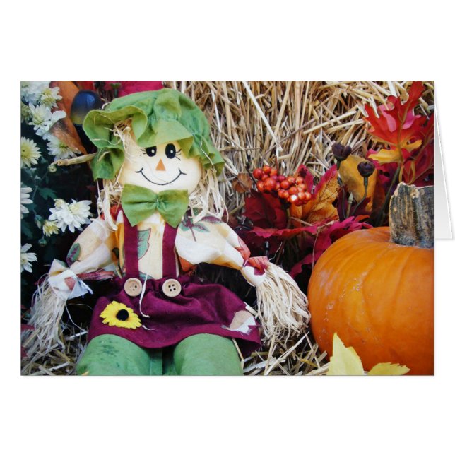 Little Miss Scarecrow (Devant horizontal)