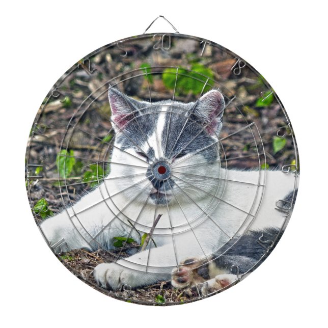 Little Mister Pants Dartboard (Front)