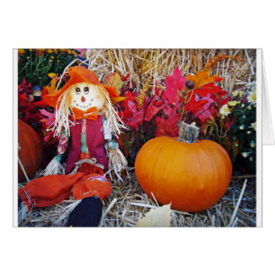 Little Mister Scarecrow