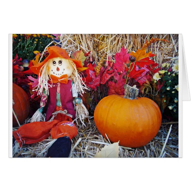 Little Mister Scarecrow (Front Horizontal)
