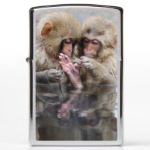Little Monkeys | Hot Springs, Japan