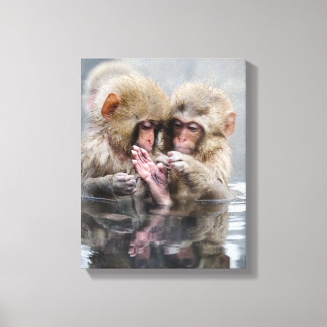 Little Monkeys | Hot Springs, Japan Canvas Print (Front)