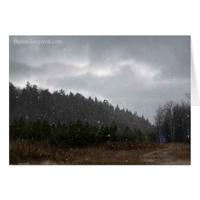 Little Mountain Shack (Front Horizontal)