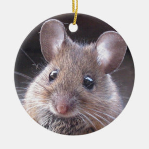 Little Mouse Ornament