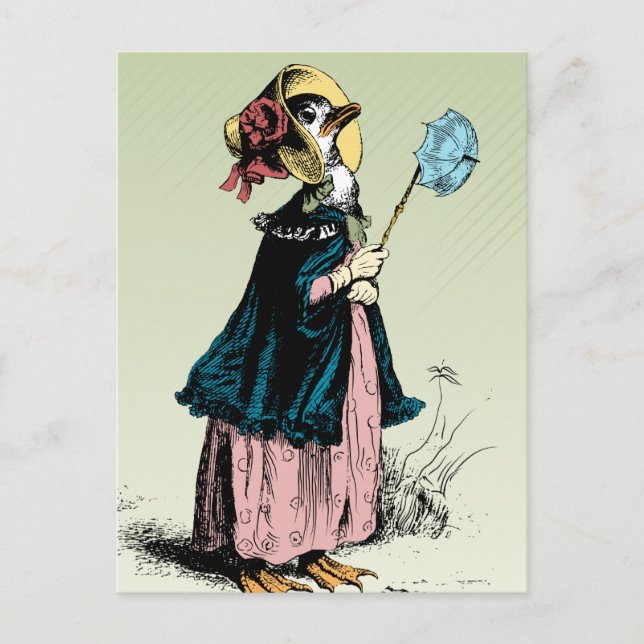Little Mrs Duck Postcard (Front)
