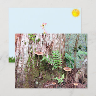  Little Mushrooms Postcard