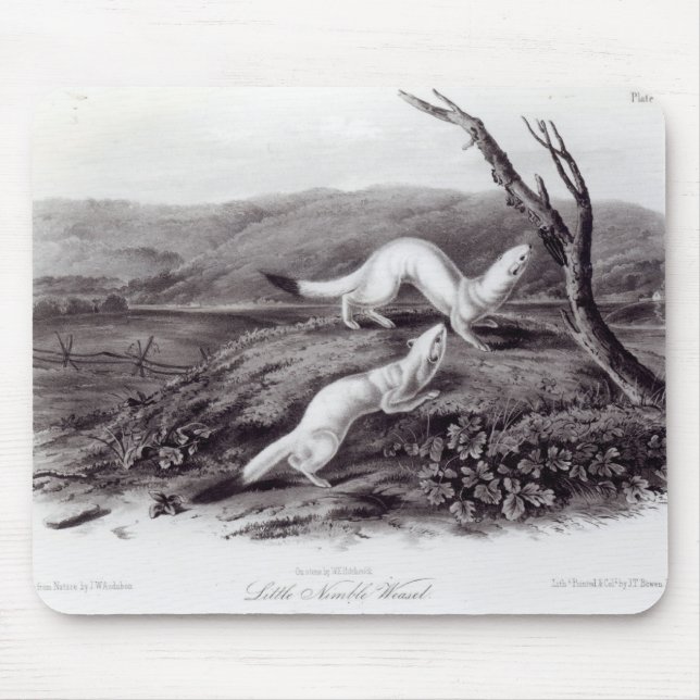 Little Nimble Weasel Mouse Pad (Front)