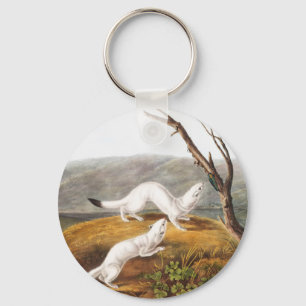 Little Nimble Weasel Putorius agilis Illustration Keychain