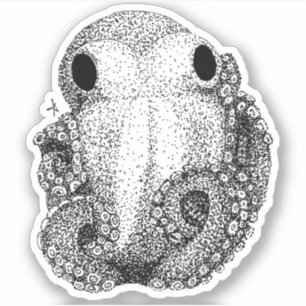 Little Octopus