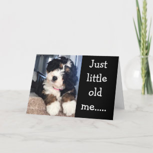 LITTLE OLD ME WISHING YOU HAPPY **70th** Card