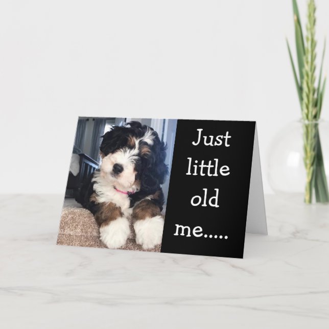 LITTLE OLD ME WISHING YOU HAPPY **70th** Card (Front)