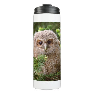 Little Owl 11 Thermal Tumbler