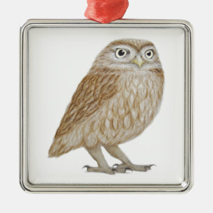 Little Owl 2011 Metal Ornament