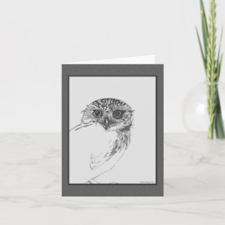 Little Owl Blank Note Cards