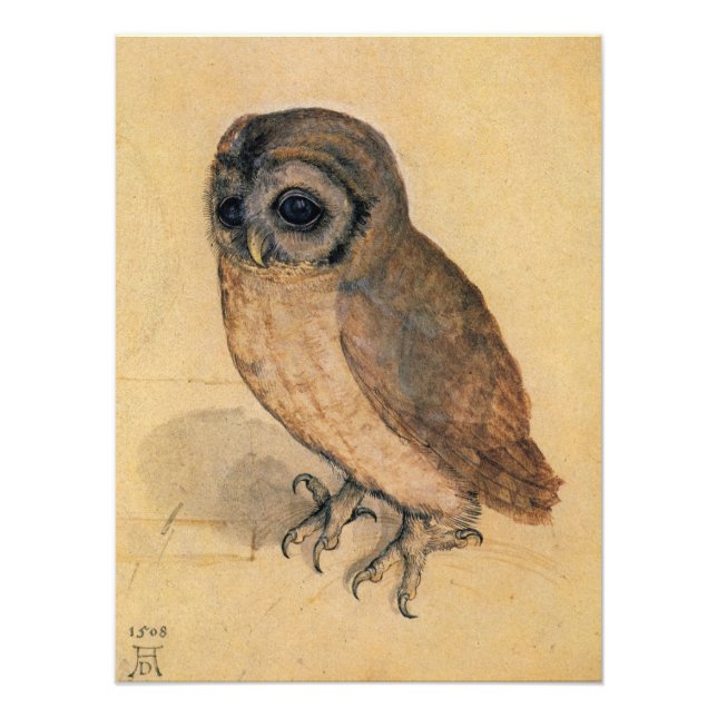 Little Owl by Albrecht Durer Photo Print (Front)
