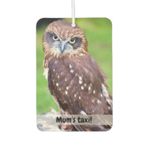 Little Owl Car air freshener