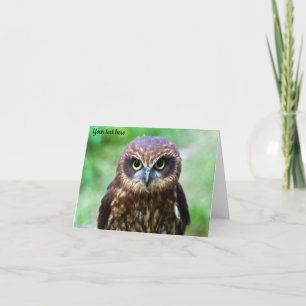 Little Owl Card