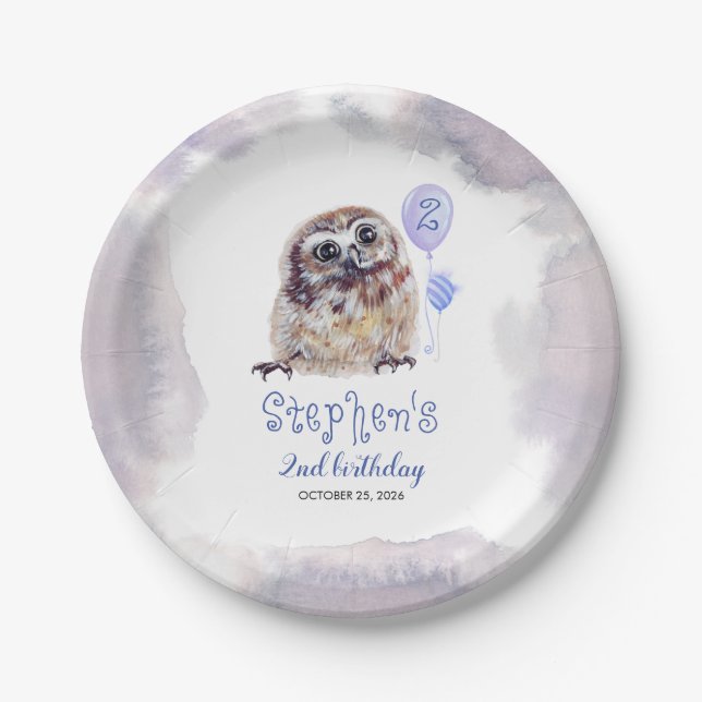Little Owl Cute Blue Birthday Paper Plate (Front)