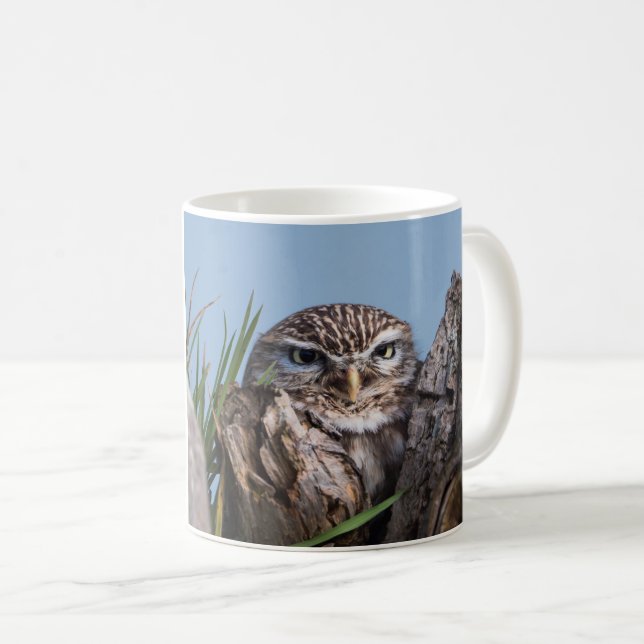 Little owl perched on at tree trunk coffee mug (Front Right)