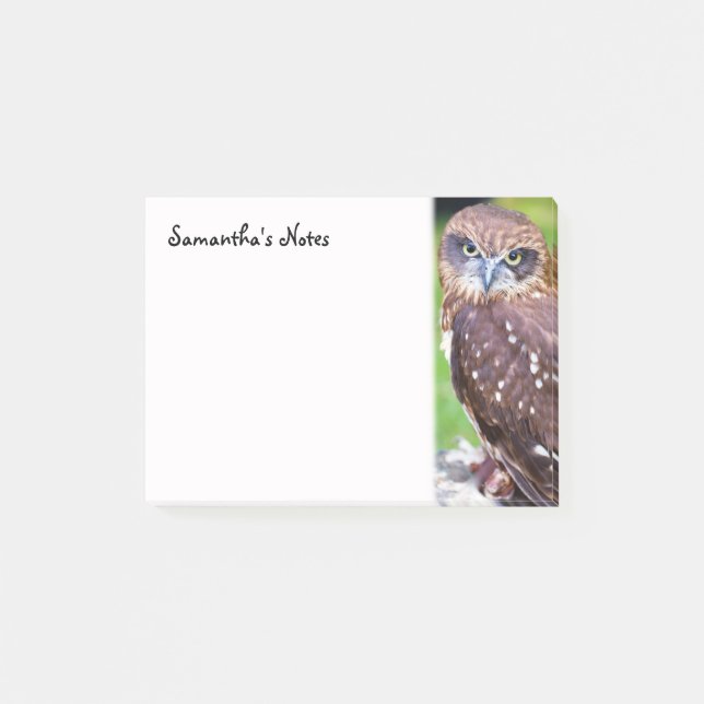 Little Owl Post-It Notes (Front)