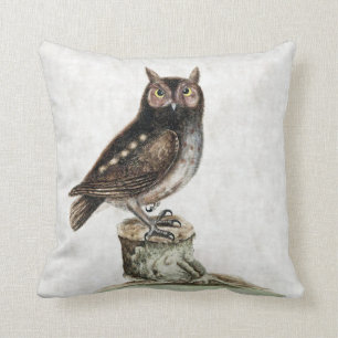 Little Owl Throw Pillow