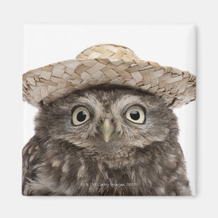 Little Owl wearing a straw hat - Athene noctua Magnet