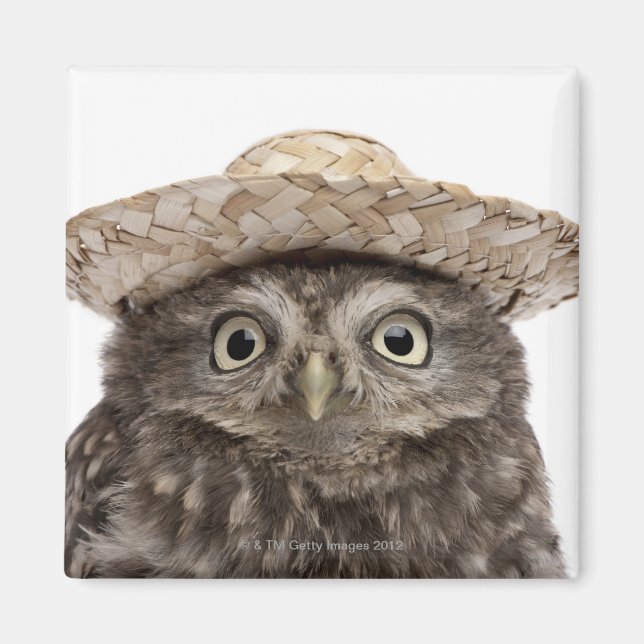 Little Owl wearing a straw hat - Athene noctua Magnet (Front)