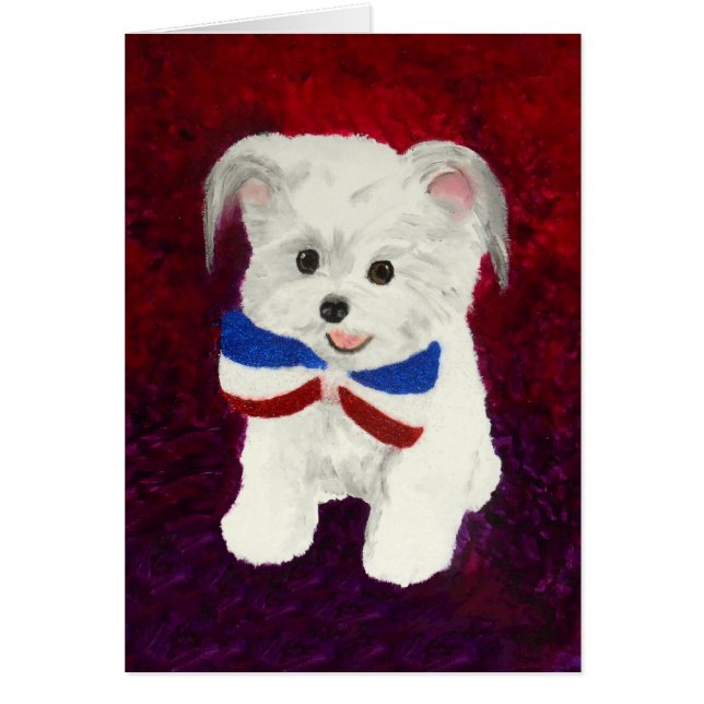 Little Patriot (Front)