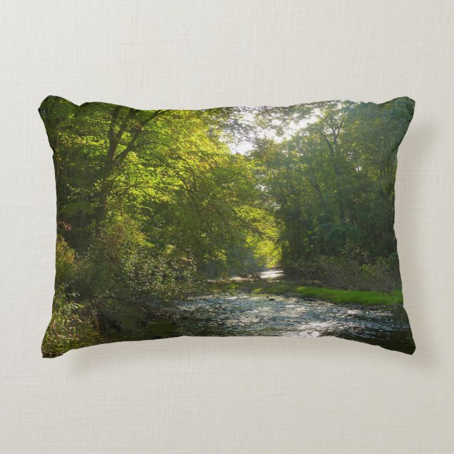 Little Patuxent River from Savage Park Accent Pillow (Front)