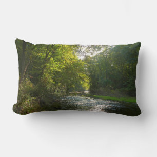 Little Patuxent River from Savage Park Lumbar Pillow