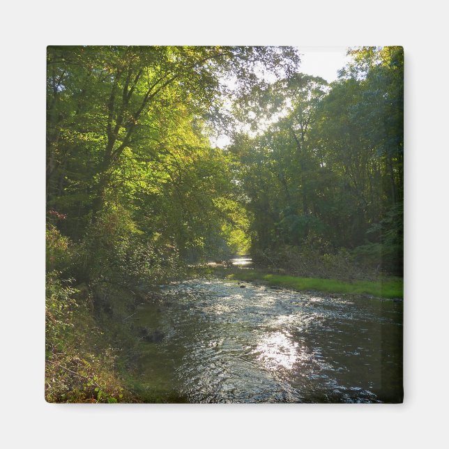 Little Patuxent River from Savage Park Magnet (Front)