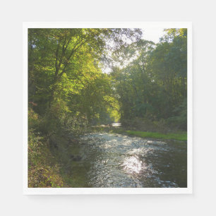 Little Patuxent River from Savage Park Napkin