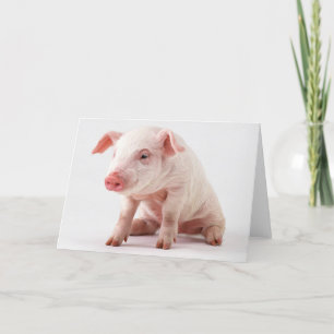 Little Pig Card