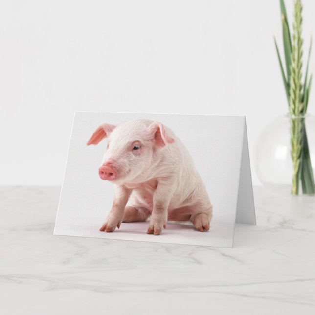 Little Pig Card (Front)