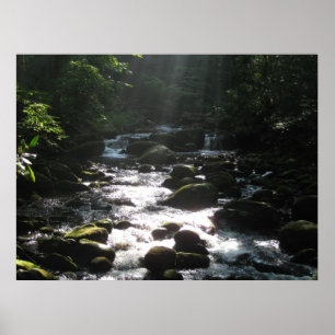 Little Pigeon River 2 Poster