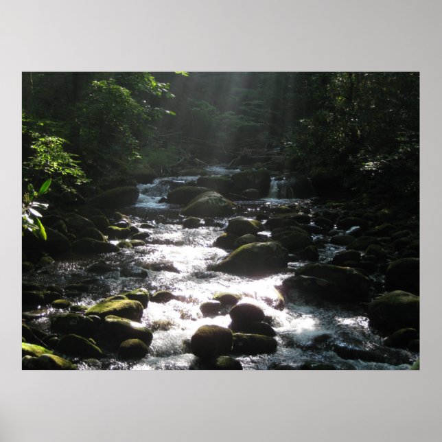 Little Pigeon River 2 Poster (Front)