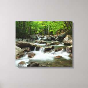 Little Pigeon River at Greenbrier Canvas Print