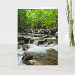 Little Pigeon River at Greenbrier Card