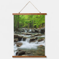 Little Pigeon River at Greenbrier